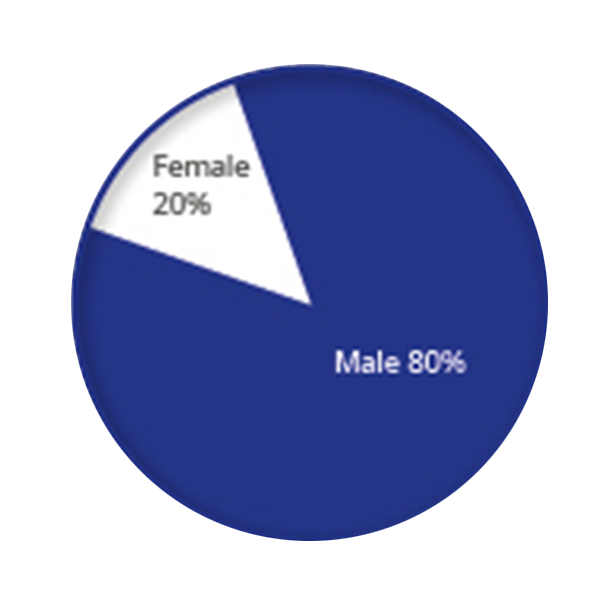 pie chart male and female suicide